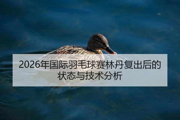 2026年国际羽毛球赛林丹复出后的状态与技术分析