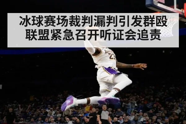 冰球赛场裁判漏判引发群殴 联盟紧急召开听证会追责